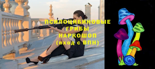 стаф Касимов