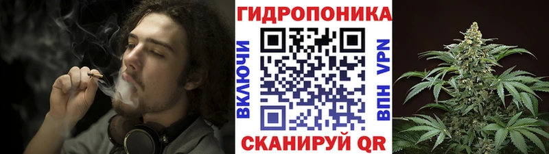 Каннабис OG Kush  Красавино 